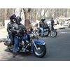 Harley Davidsons